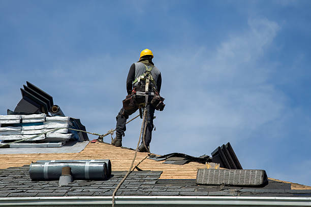 Professional Emergency Roof Repair technician working in Little Falls, MN